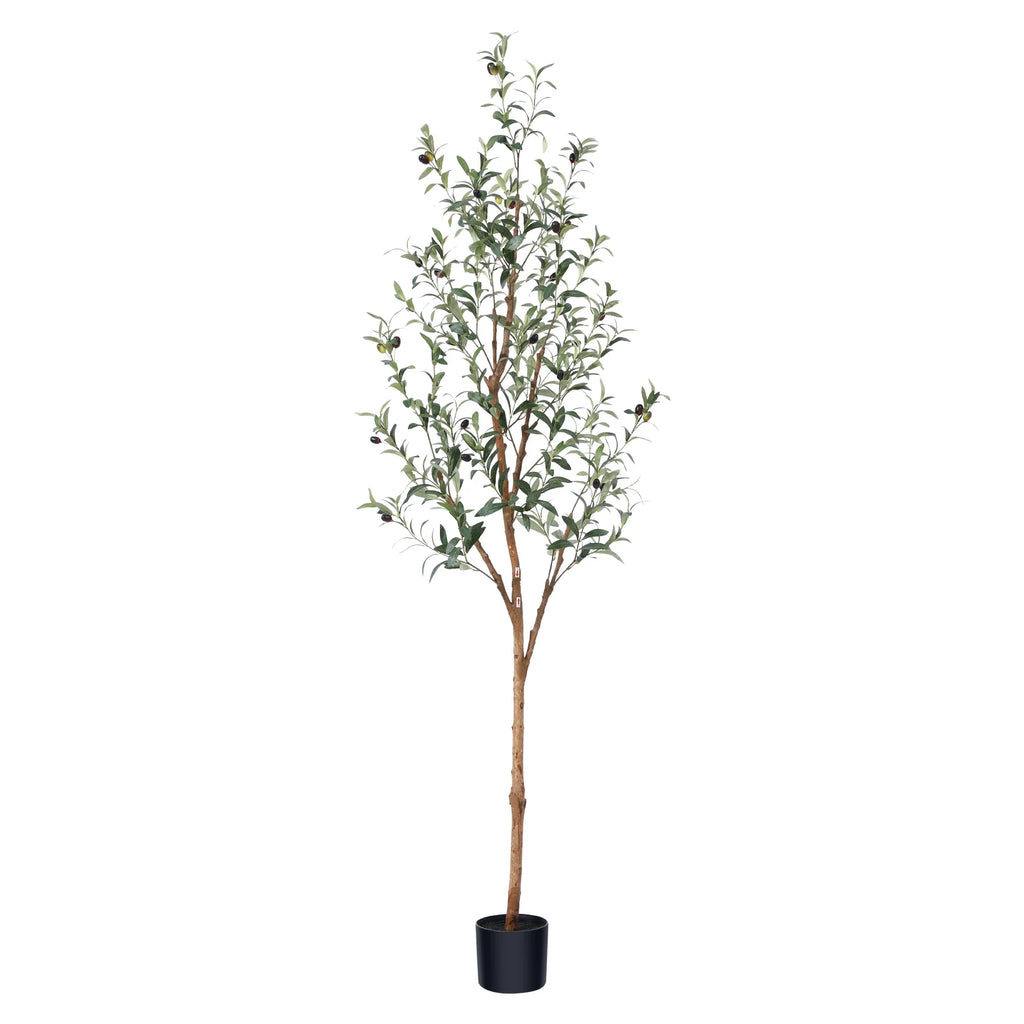 6Ft Artificial Olive Tree Indoor, Tall Faux Olive Tree, Artificial Plants with Natural Wood Trunk and Lifelike Fruits for Home Office Decor